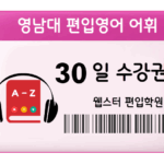 30 Days of Transfer English Vocabulary at Youngnam University